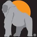 Ape Case logo