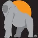 Ape Case products