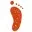 Baby Foot products
