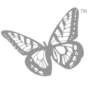 Dolly Parton products