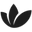 Eufora products