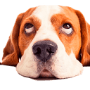 Flavored Sprays products