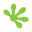 Gecko Covers logo