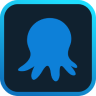 Octopus logo