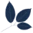 Phyto products