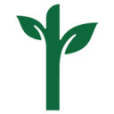 Resolute Tissue products