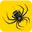 Spiderwire products