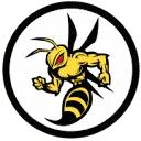 Stinger products