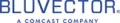 Bluvector products