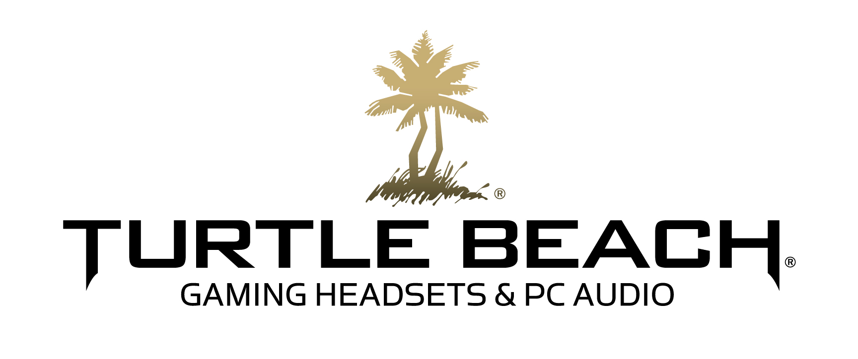 Turtle Beach products