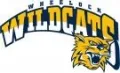 Wheelock products
