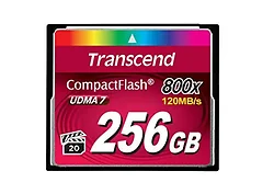 Transcend-TS256GCF800