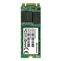 Transcend-TS256GMTS600