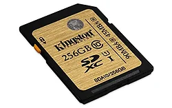 KINGSTON-SDA10/256GB