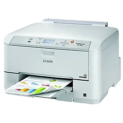 EPSON-C11CD12201
