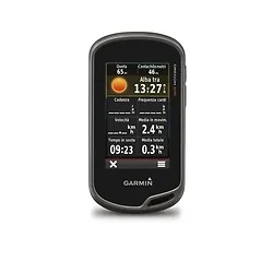 Garmin-0100106600