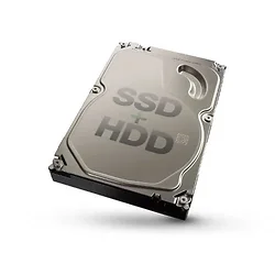SEAGATE-STBD1000400