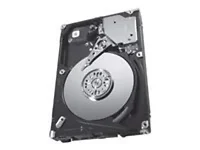 SEAGATE-ST9300453SS