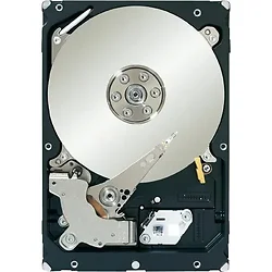 SEAGATE-ST33000650NS-RF