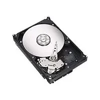 SEAGATE-ST3250820A