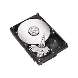 SEAGATE-ST3250820A