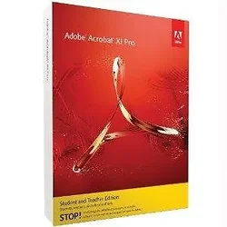 Adobe-65195001