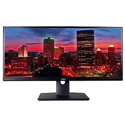 DELL-U2913WM-PB-R