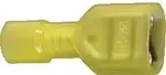 Xscorpion FD250NFY