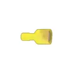 Xscorpion MD250NFY