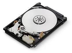Western Digital-0J26005
