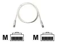 Panduit-UTPSP7Y