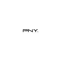 PNY Technologies-91008057