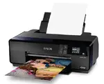 EPSON C11CE21201