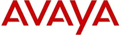 Avaya-700397284