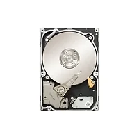 SEAGATE-ST91000642SS-30PK