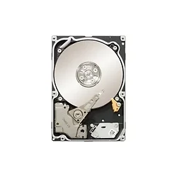 SEAGATE-ST91000642SS-30PK