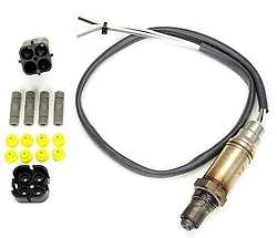 Extreme Networks-15729