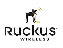 Ruckus-806-R500-3000