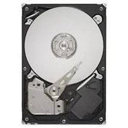 SEAGATE-ST32000445SS