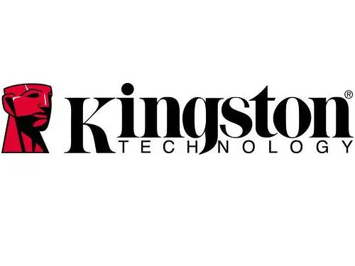 KINGSTON-KTMTP390X256G