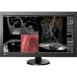 EIZO-RX840-MG