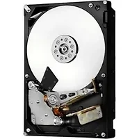 Western Digital-0F23006