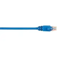 BLACK BOX CORPORATION-CAT5EPC-003-BL-25PAK
