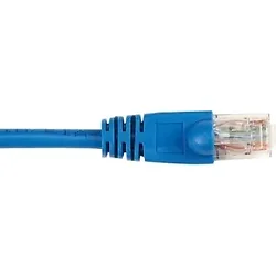 BLACK BOX CORPORATION-CAT6PC-007-BL-10PAK