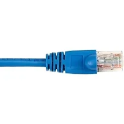 BLACK BOX CORPORATION-CAT6PC-006-BL