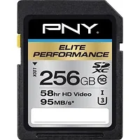 PNY Technologies-P-SDX256U395-GE