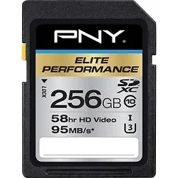 PNY Technologies-P-SDX256U395-GE