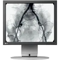 EIZO-SCD 19102 D