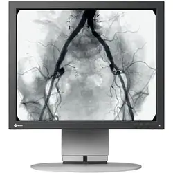 EIZO-SCD 19102 D