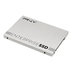PNY Technologies-SSD7EP7011-080-RB